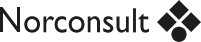 Norconsult IT logo