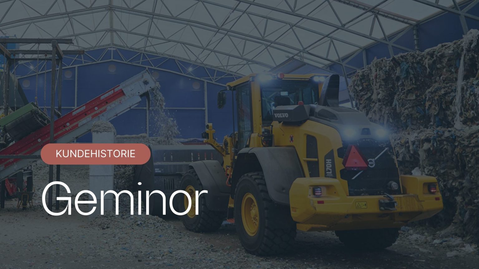 ERP system for Geminor