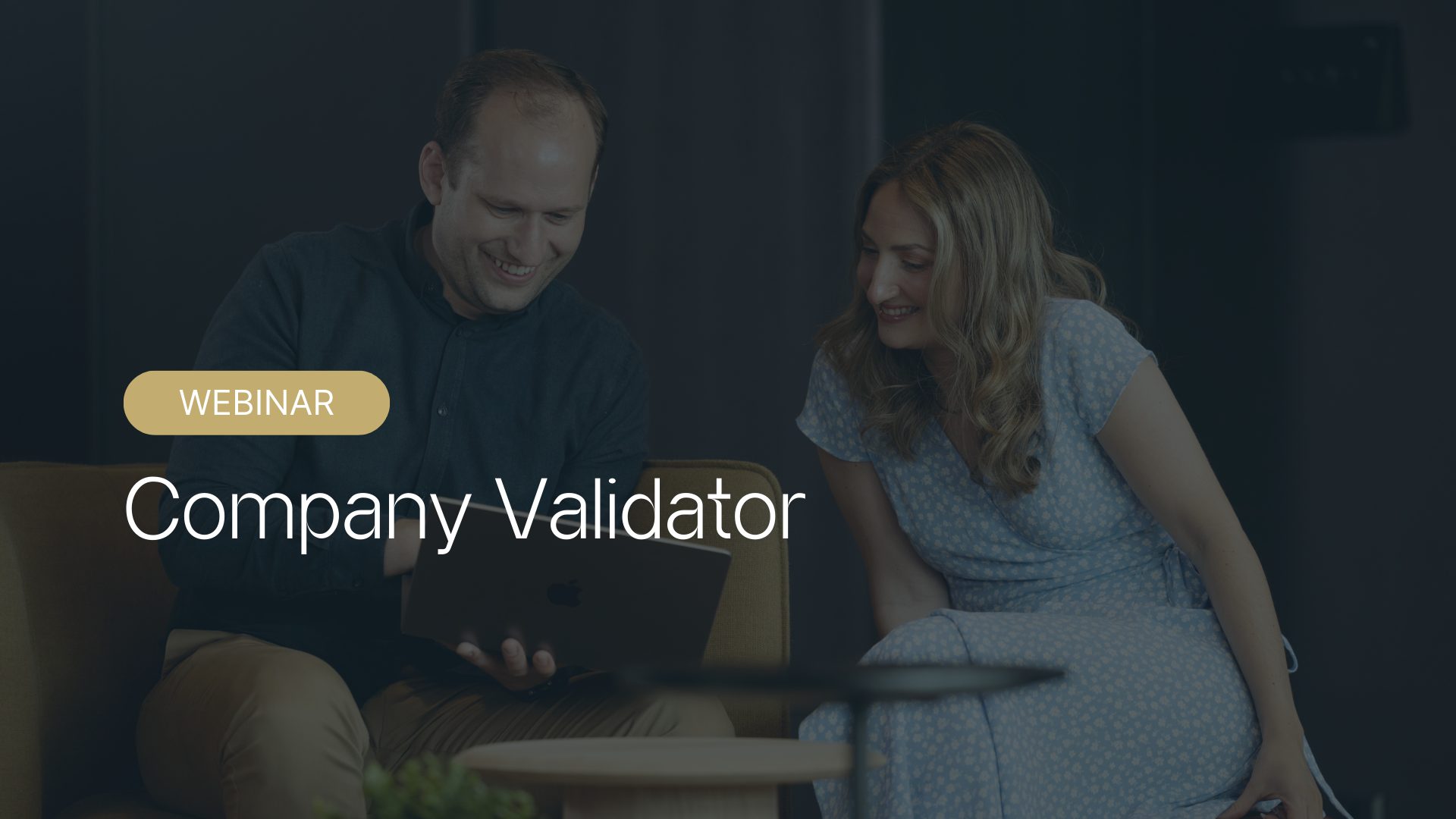 Webinar: Company Validator