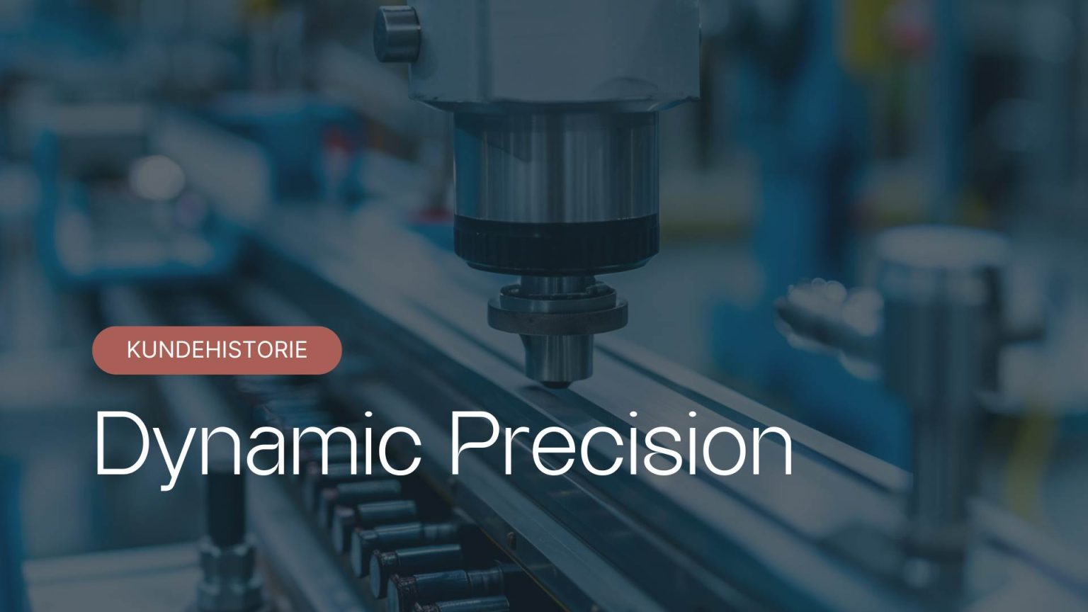 Dynamic Precision ERP-system