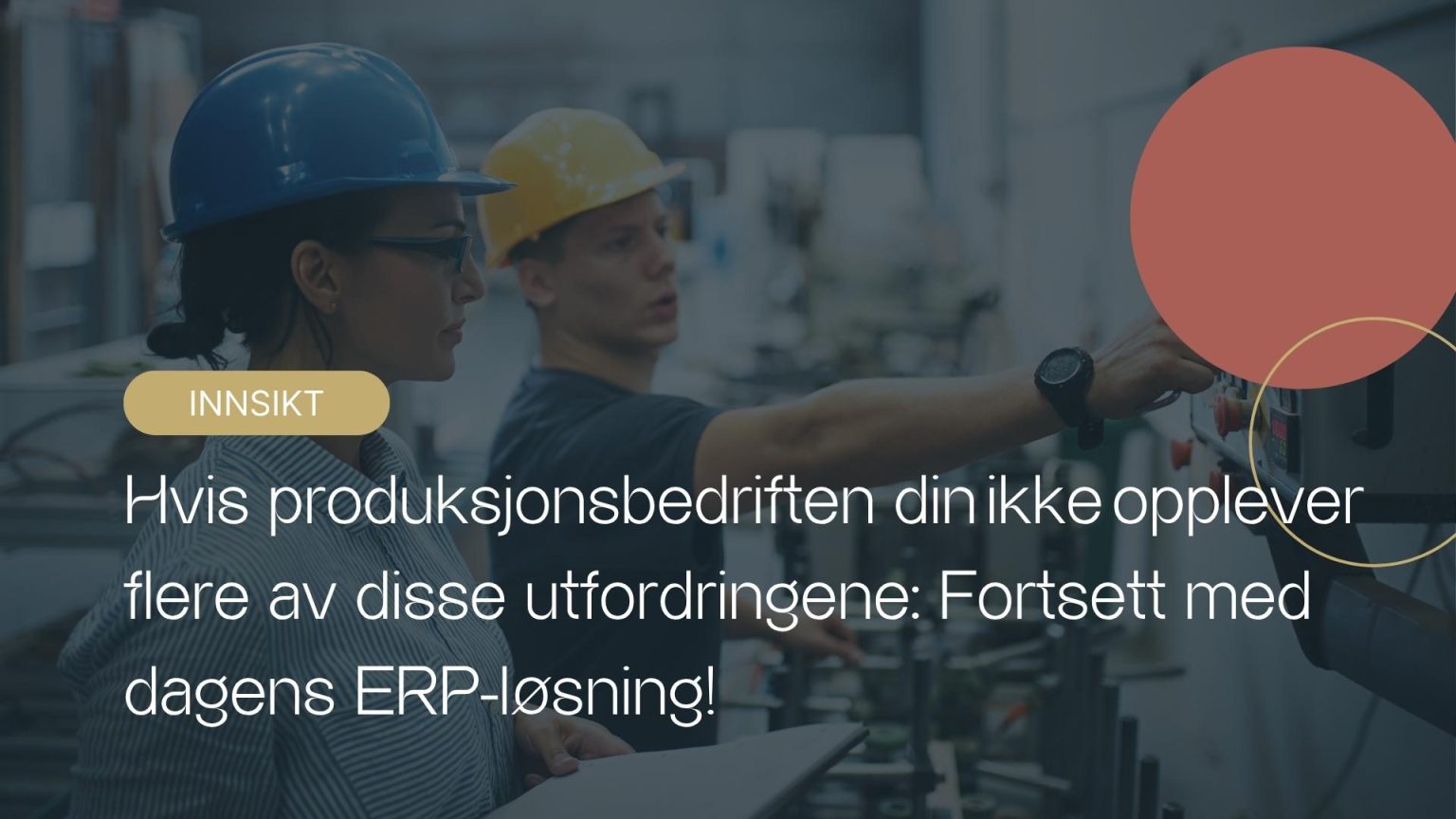 produksjonsbedriften